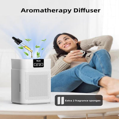 Air Purifier, Shipped From FBA Warehouse, Prohibited From Sale On Amazon