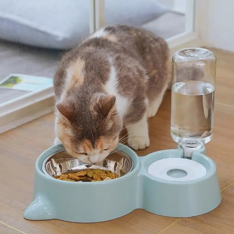 fuente automática para comida y agua